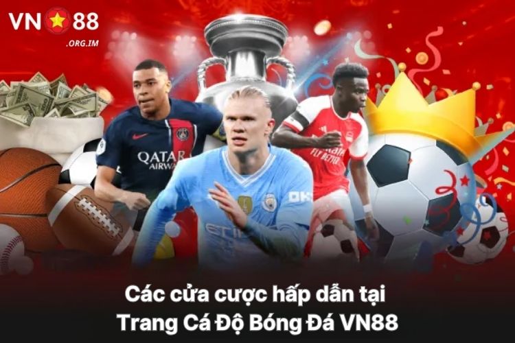cac-cua-cuoc-hap-dan-tai-trang-ca-do-bong-da-vn88