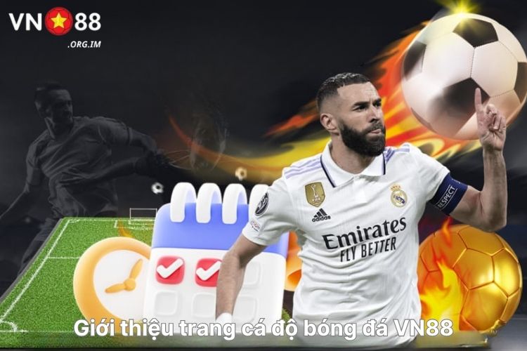 gioi-thieu-trang-ca-do-bong-da-vn88
